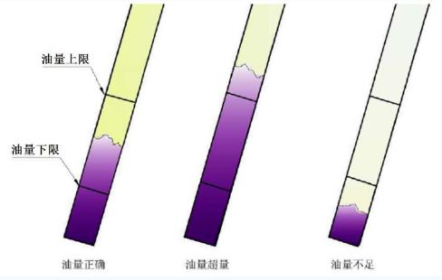 圖片10